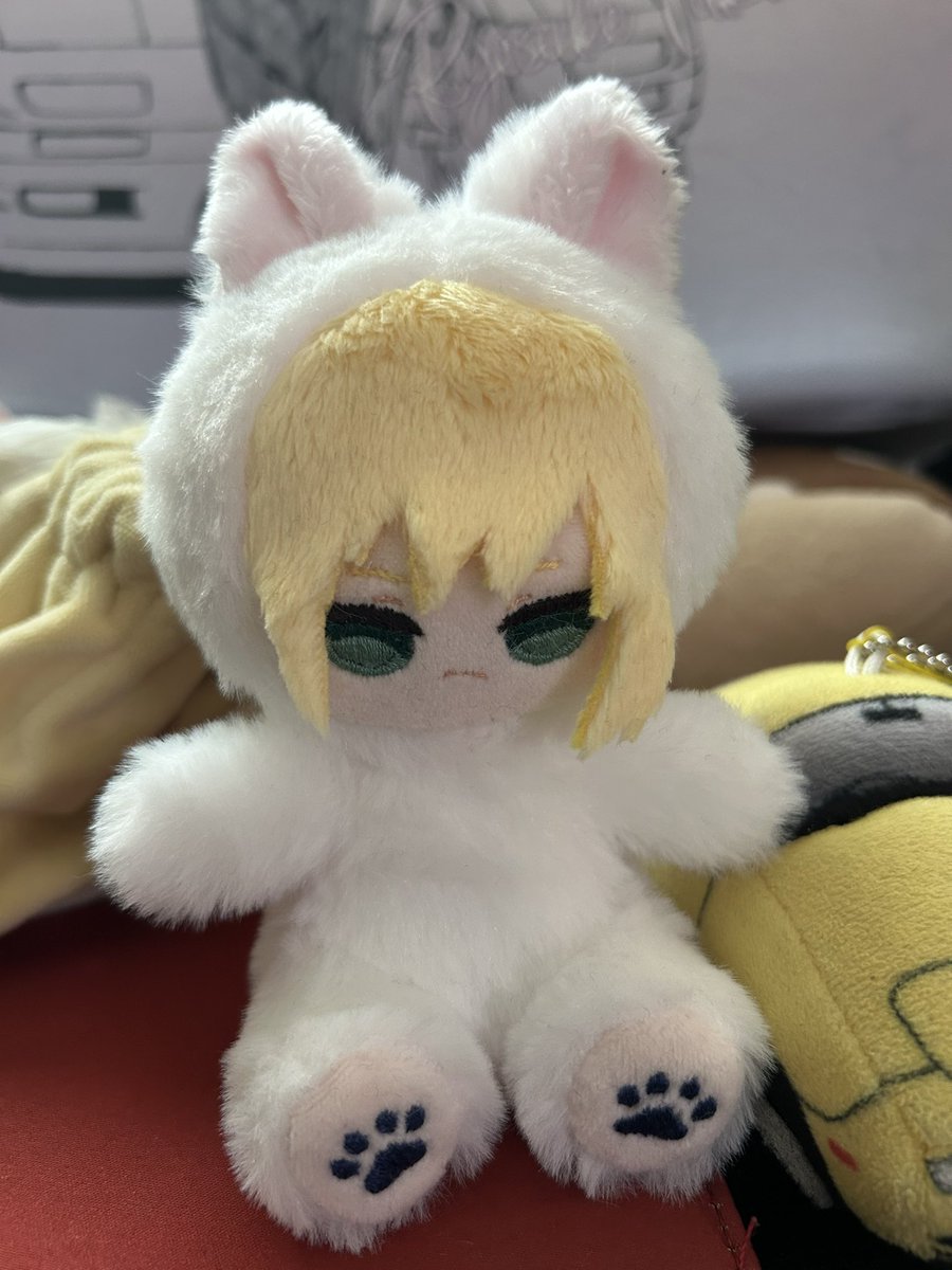 ぴよぴっこ🧸ぬいぐるみ系YouTuber🐤 (@piyopicco) / Posts / X