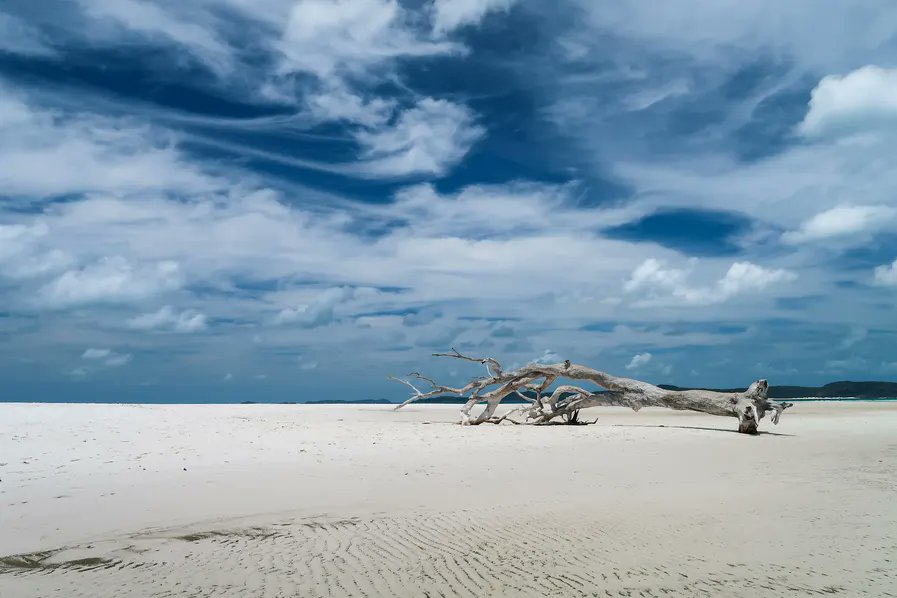BeachScenes ⛱ tweet media