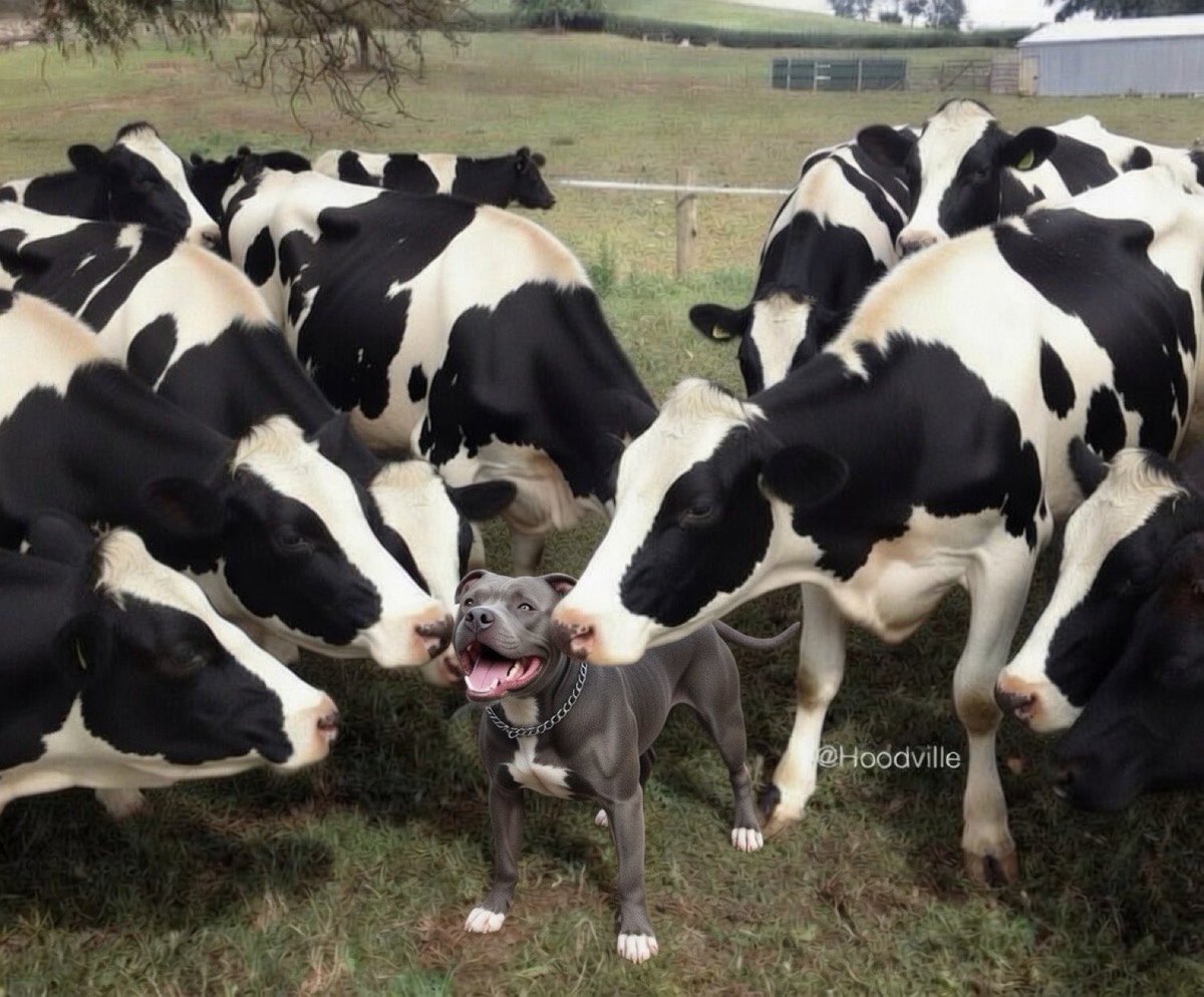 Hoodville_'s tweet photo. When you fresh outta a relationship and all your hoes come back https://t.co/OGhxyCabdm