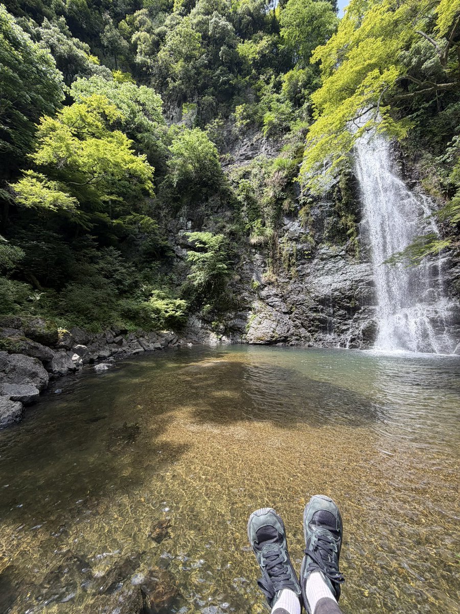 takeuchi_hinako's tweet photo. 最近のあれこれ。

🎧長年愛用しているヘッドホンの調子が悪くて怯えている。

👟長年愛用しているスニーカーがくたびれてきていて破れないか怯えている。

🍩ポン・デ・リング プレーンが美味しすぎて震えている。

✒️愛用水性ペンが朝起きたら自らインクを出していた。描いてあげなきゃと思った。 https://t.co/16cXa4cO8c