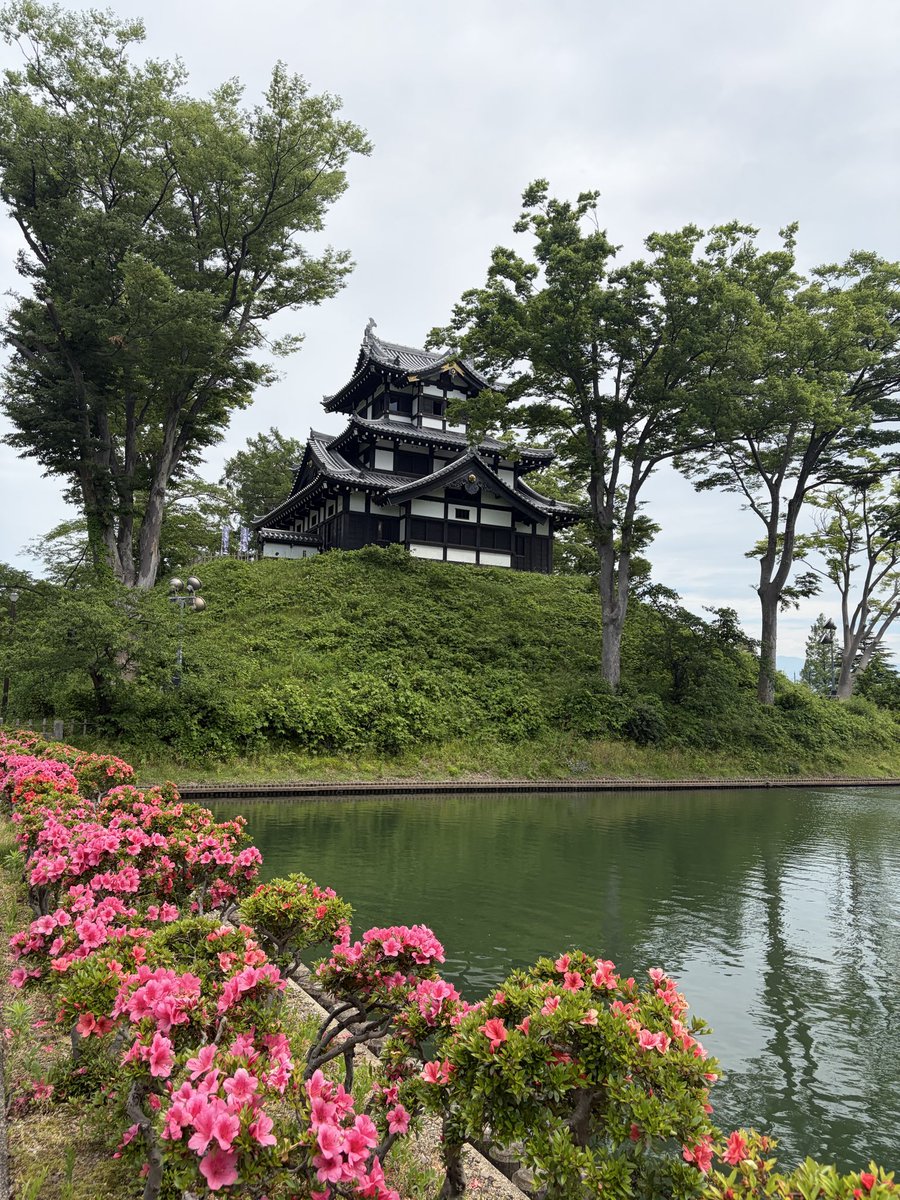 jumpanp's tweet photo. 高田城址公園はお濠の水面が美しい🏯 https://t.co/irRBNdD8a3