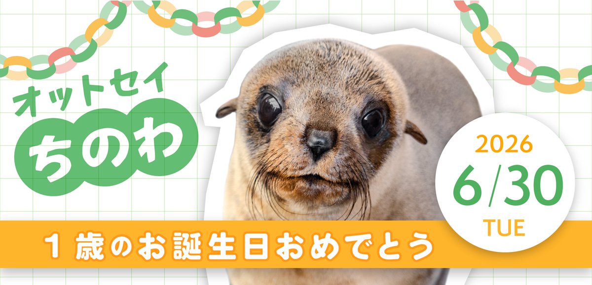 京都水族館 (@Kyoto_Aquarium) / Posts / X