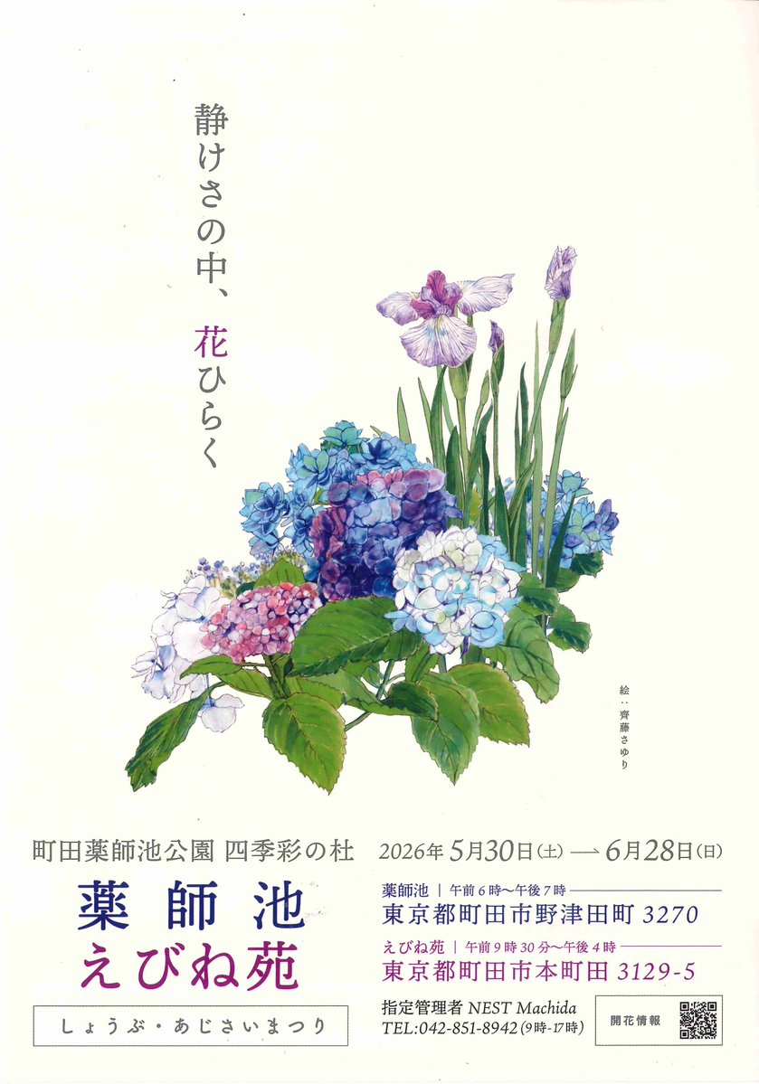しょうぶ・あじさいまつり】 町田薬師池公園四季彩の杜 薬師池・えびね