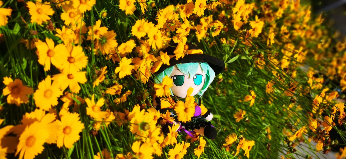 TK (@TKwithFUMO) / Posts / X