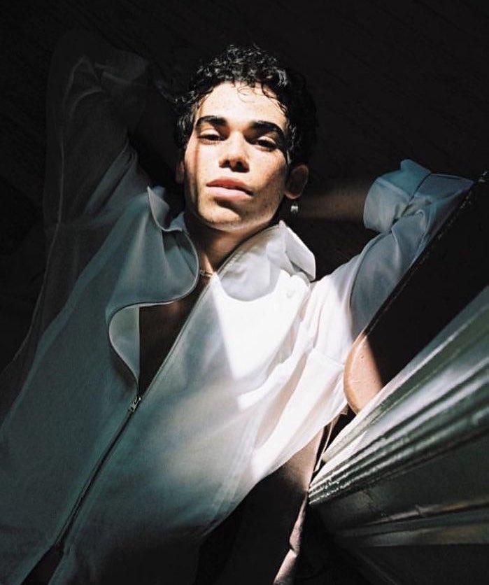 music__data's tweet photo. Happy Birthday, to the late Cameron Boyce who would’ve turned 27. https://t.co/Gxbq0FURlf