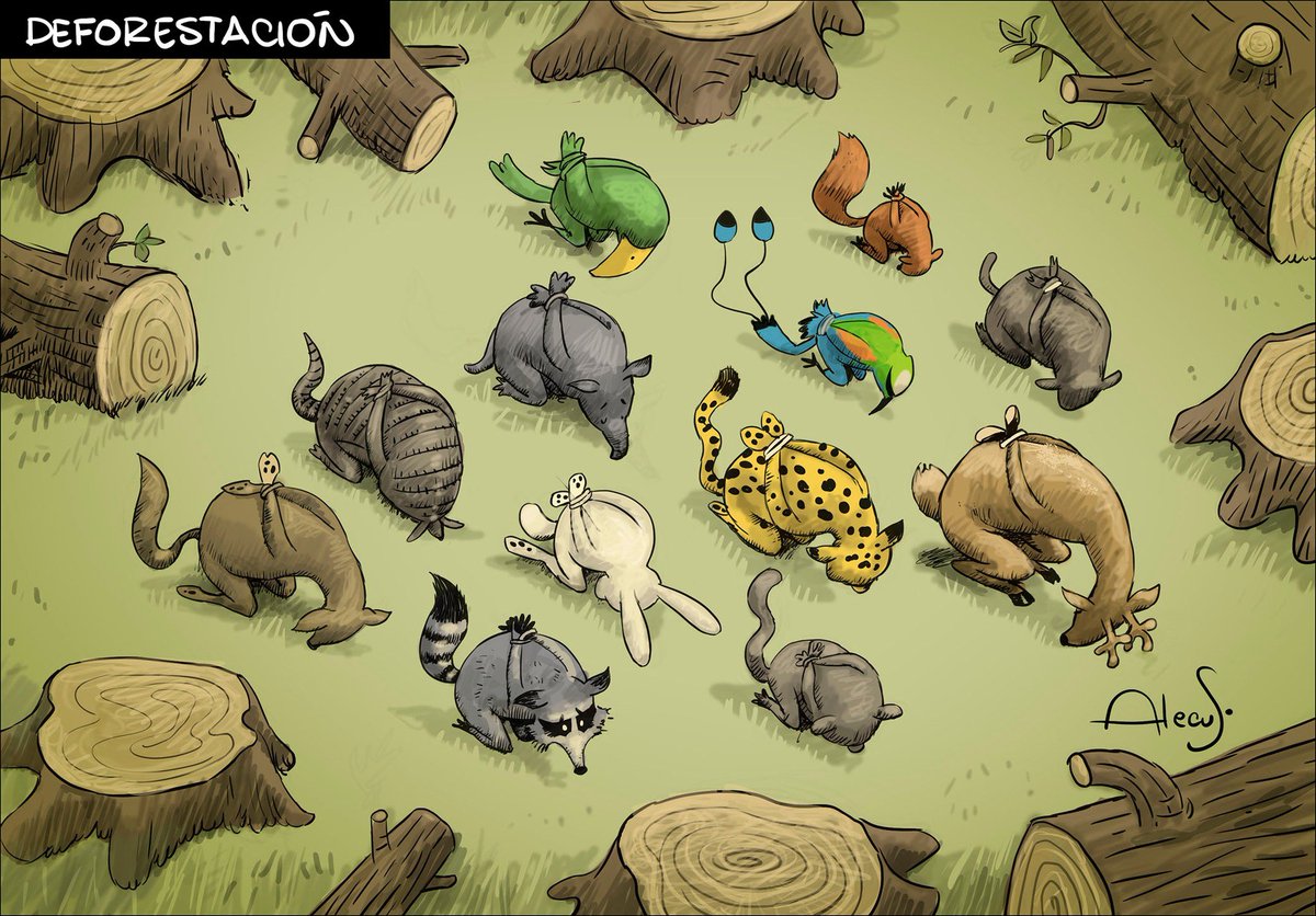 abf_sv's tweet photo. El régimen también se le aplica a la naturaleza.. https://t.co/N0VXkrBqIR
