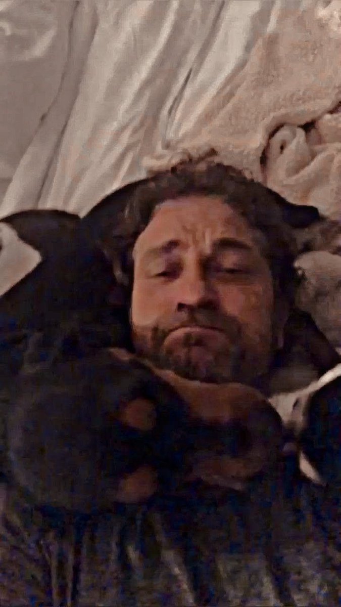 _CXRBONELL's tweet photo. ᅠ      
               𝐈𝐍𝐒𝐓𝐀𝐆𝐑𝐀𝐌 𝘗𝘖𝘚𝘛 :
              15 ``𝘮𝘪𝘯 𝘢𝘨𝘰

       @ 𝑚𝑎𝑡𝑡 𝑐𝑏𝑙𝑙 
ᅠ

ᅠ  se cree que la cama es solo suya, que bárbara. ( es shuska, la adopté recientemente ) ⠀⠀
⠀⠀
⠀⠀⠀⠀ https://t.co/YRbOaGL1uT