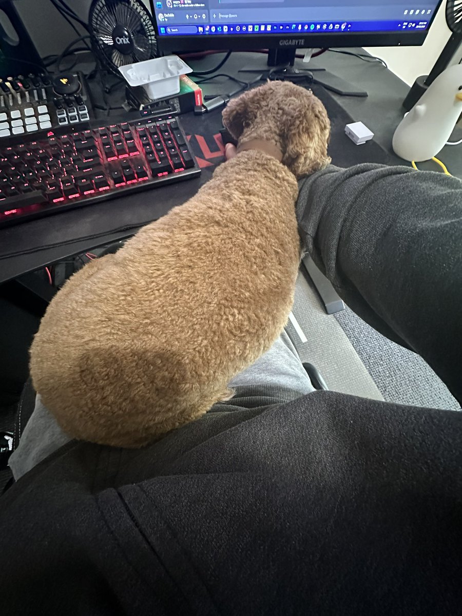 Duckable_'s tweet photo. https://t.co/L35qdRtTeg
