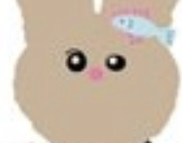 옆집뽀삐 tweet media