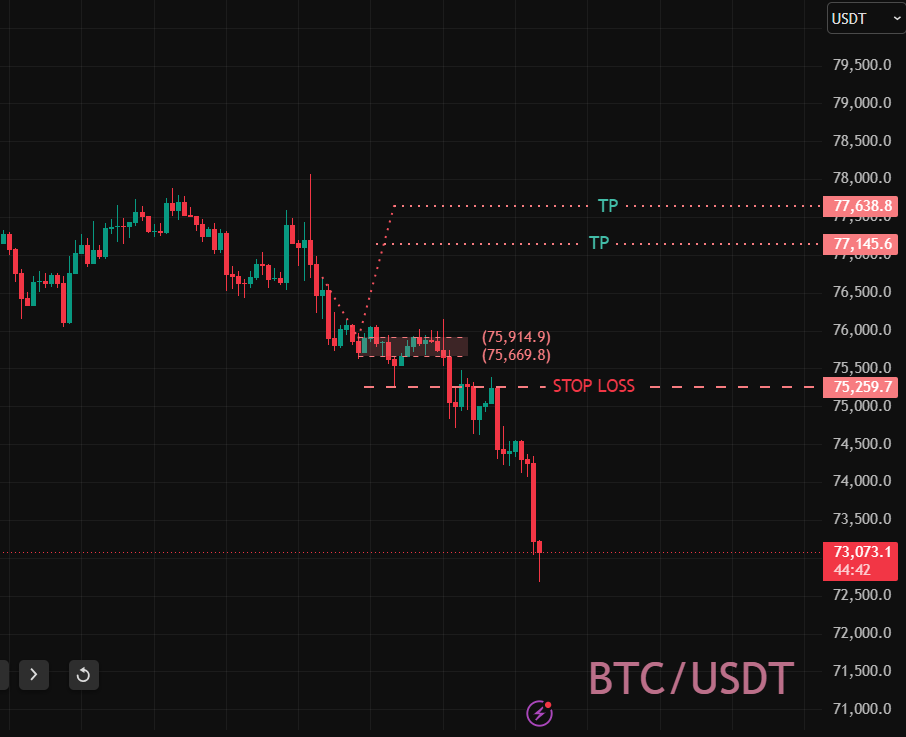 ambitcoin23's tweet photo. $btc 

قلنا خله البيتكوين يعيد معنا شويه 

ضرب الوقف وعلى طول عكس الاتجاه  

حتى القطوه مصدومه 🤨

#btc   #btcusdt  #ambitcoin https://t.co/N8AYThHS4j