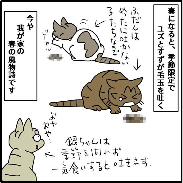 うちにゃんこ (@UchinyankoPlus) / Posts / X