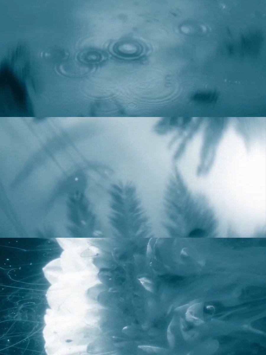 foxxierj's tweet photo. aesthetic bangett... not just the songs.. i bet the mv will be just as beautiful, this whole concept is so renjun😭💛 https://t.co/zhWU6BsYK9