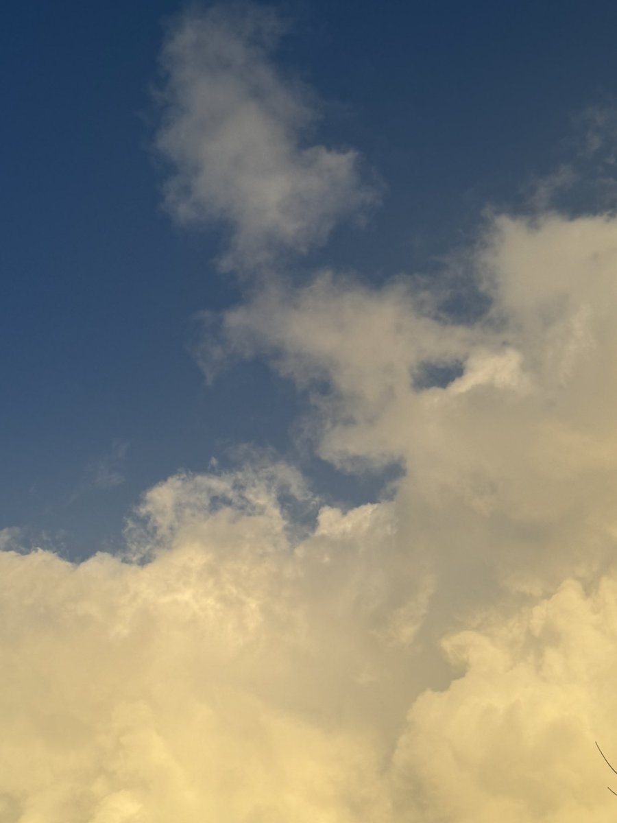 JoshKano_stuff's tweet photo. The sky today https://t.co/kFXSGlaHAQ
