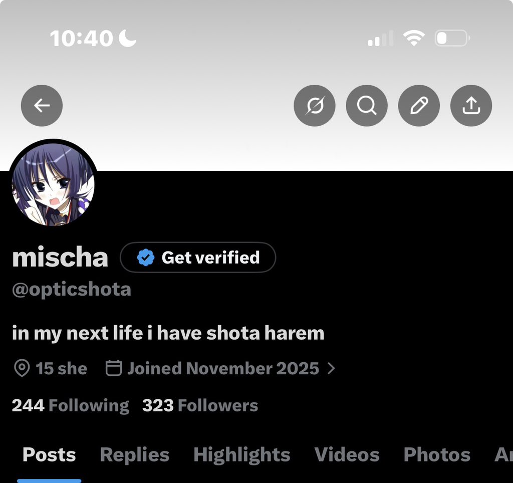 mischa tweet media