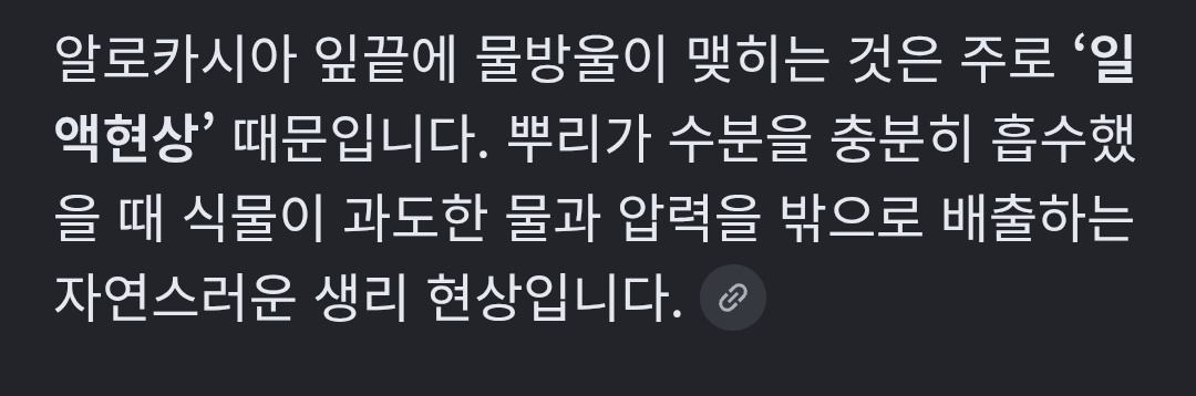 귕니 tweet media