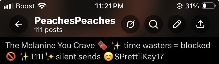 PeachesPeaches tweet media