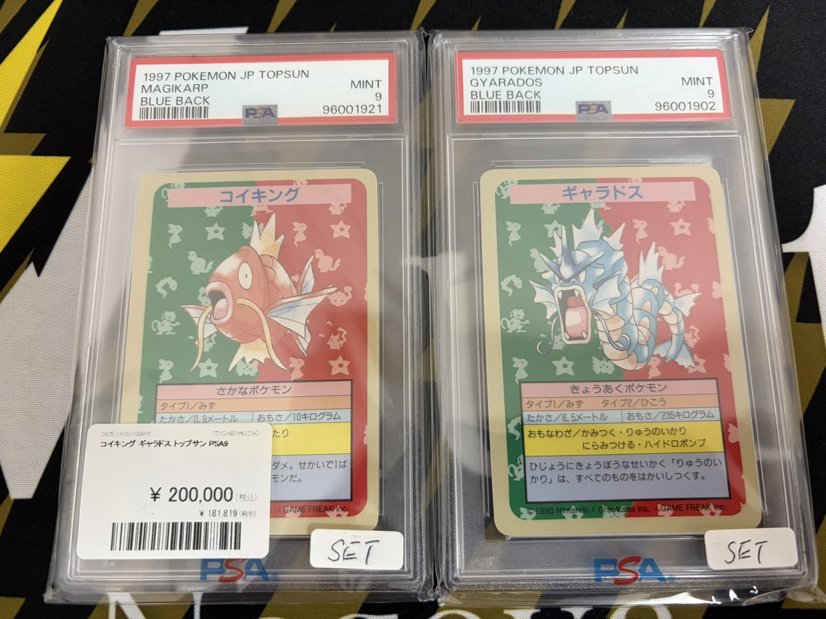 ポケモンカード 入荷情報】 トップサンコイキング、ギャラドスPSA9 