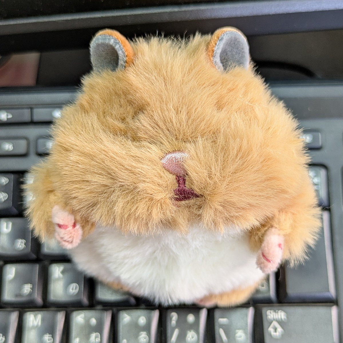 marrybeads's tweet photo. はむにぎり、娘がおもちちゃん欲しいって言うから慌てて私用にまた買いに走ったら、みたらし君とごまきち君しか残ったなかった💦

って事で、みたらし君💛
↓トリミング前　　　　トリミング後↓ https://t.co/xYGjPEI9oG
