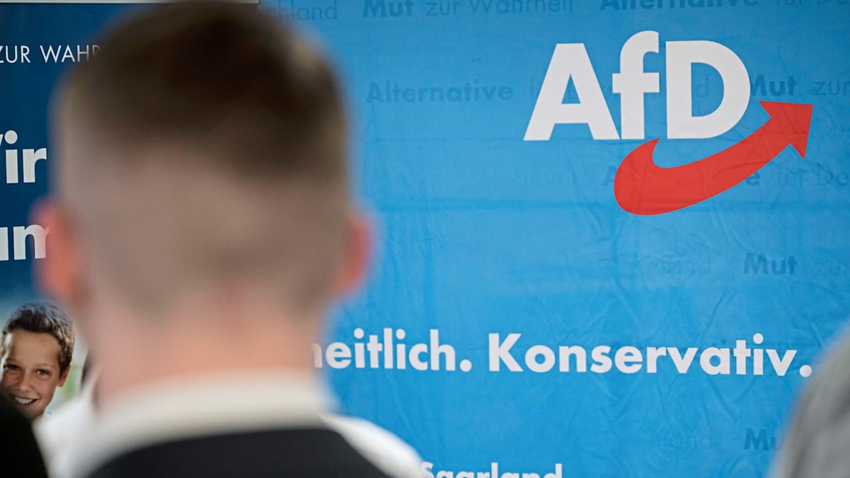 WELT tweet media