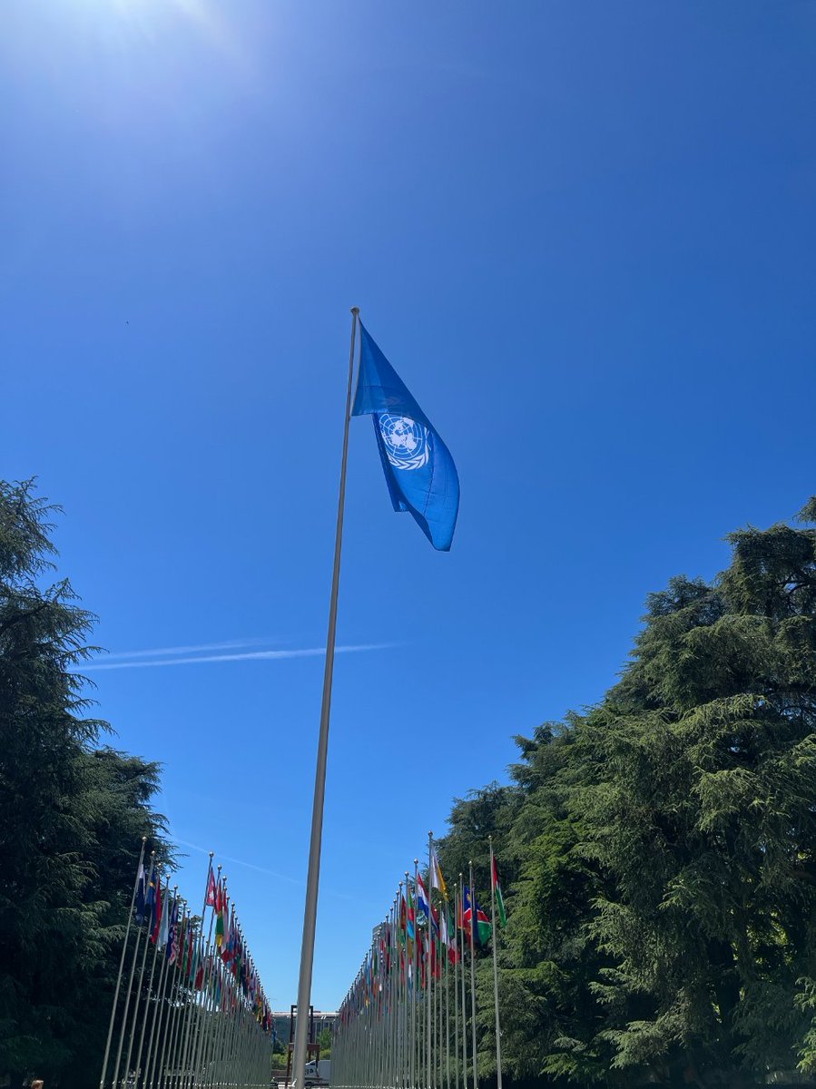 DrEMCollins's tweet photo. One thing I have loved about attending the @WHO #WHA79 and the World Health Assembly over the past decade is that the United Nations @UN in #Geneva is such a peaceful place to promote progress... https://t.co/LYDzTwMKG5