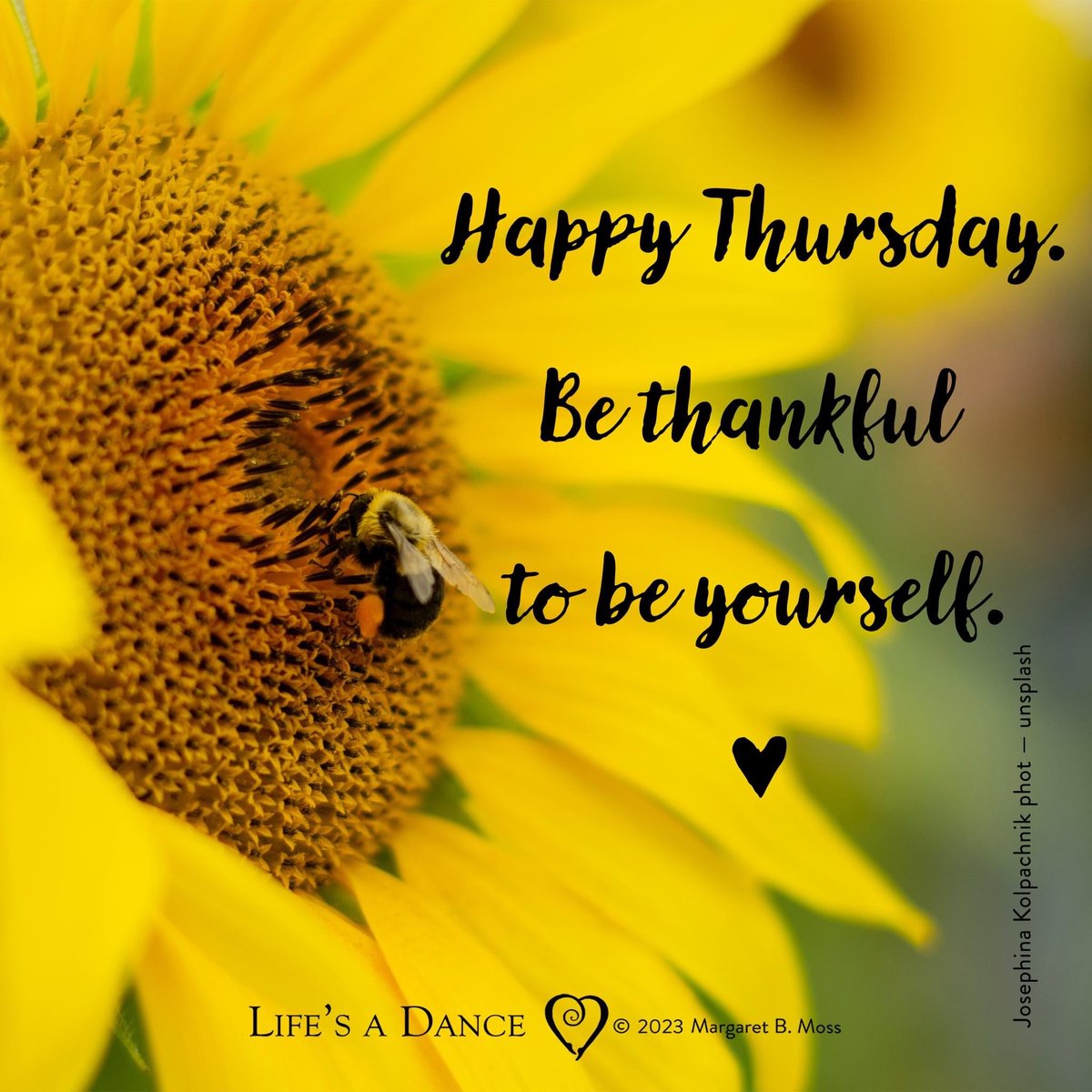 NorthwayRuth's tweet photo. @kennygibsonnhs @oldnanchris @CatherineNeary @NickiSparling1 @jomwlever @SharonCrowley_ @KathEvans2 @warnetony @DrJude_G @Cosmicwomble Good morning Kenny and #earlyrisersclub friends. I hope today is a good day for you https://t.co/0dt6AlPRmq