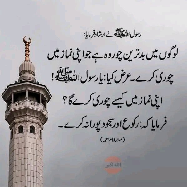قرآن میری زندگی tweet media