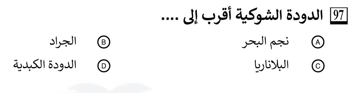 M tweet media