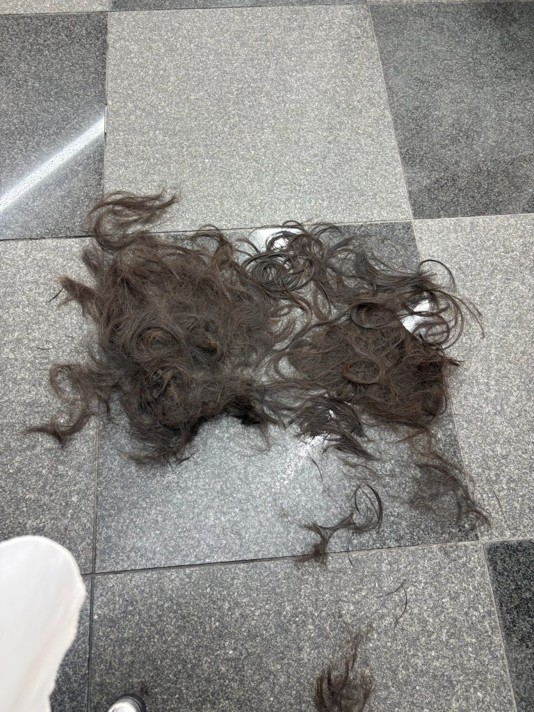 ainyan_1209's tweet photo. ✂️✂️✂️✂️ https://t.co/8sUdw0I9Ey