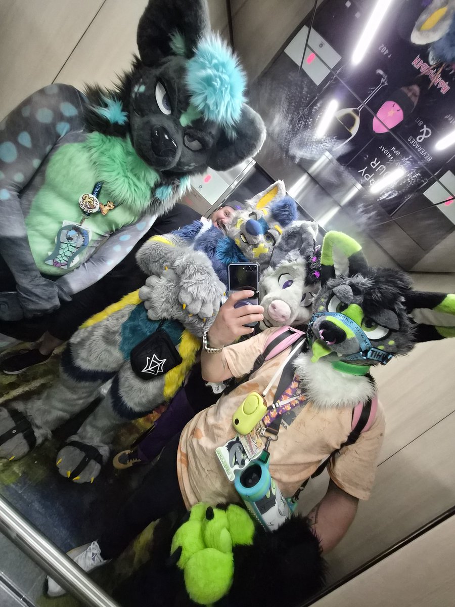 Furking Fox 🦊 tweet media