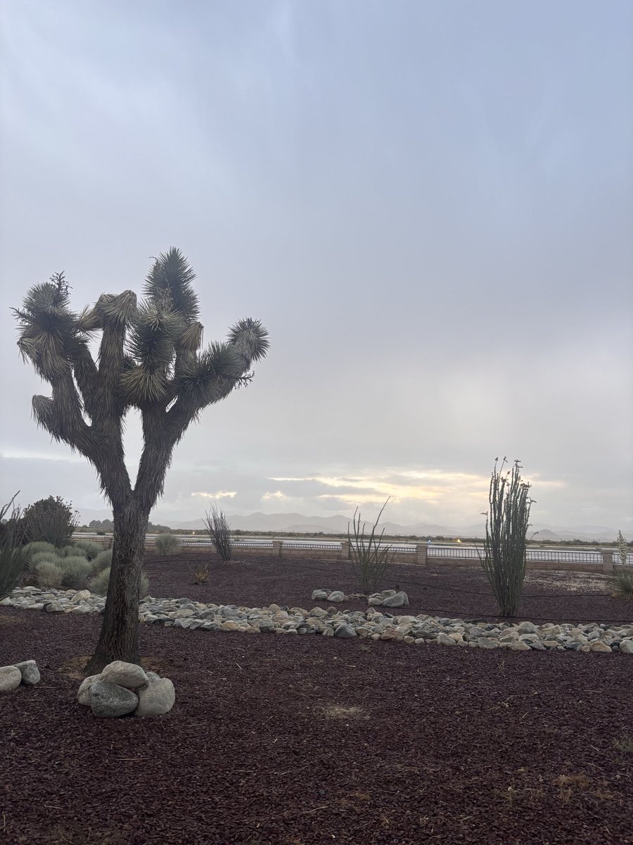 gallagherchase's tweet photo. Down in Mojave for some testing this week https://t.co/6xc4VPV0vb