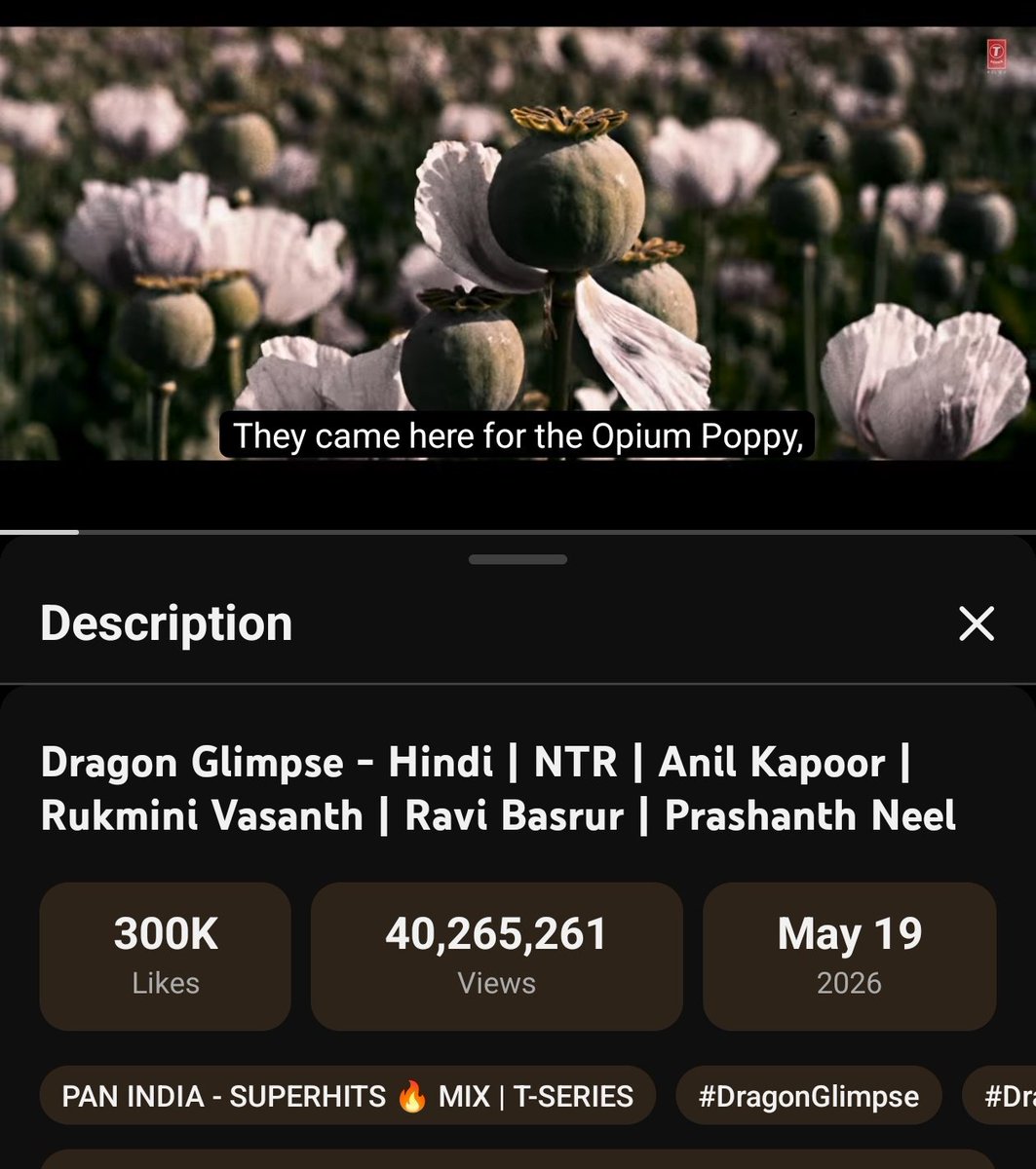 Dragon 🐉 tweet media