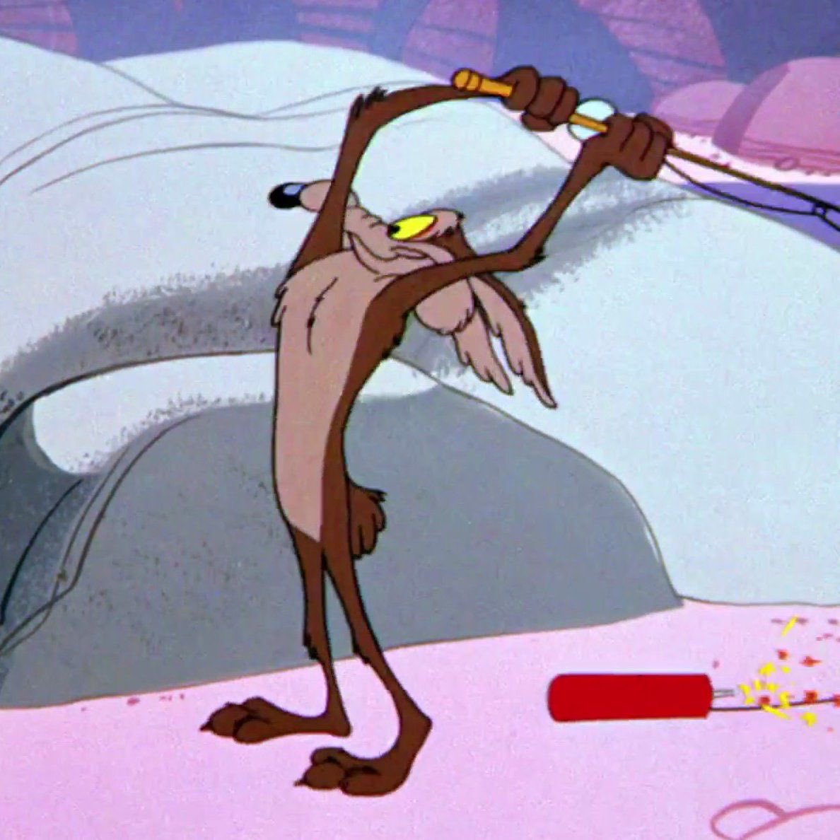 WilTito's tweet photo. #looneytunes #merriemelodies #wileecoyote #wile #coyote #roadrunner #toon #warnerbros #wb #coyotevsacme https://t.co/XVggTyUwaM