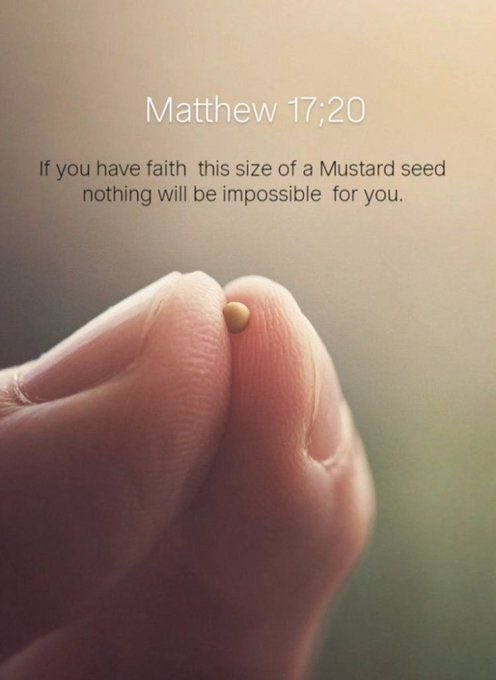 holybible______'s tweet photo. Matthew 17:20 https://t.co/iVTtLiQMoi