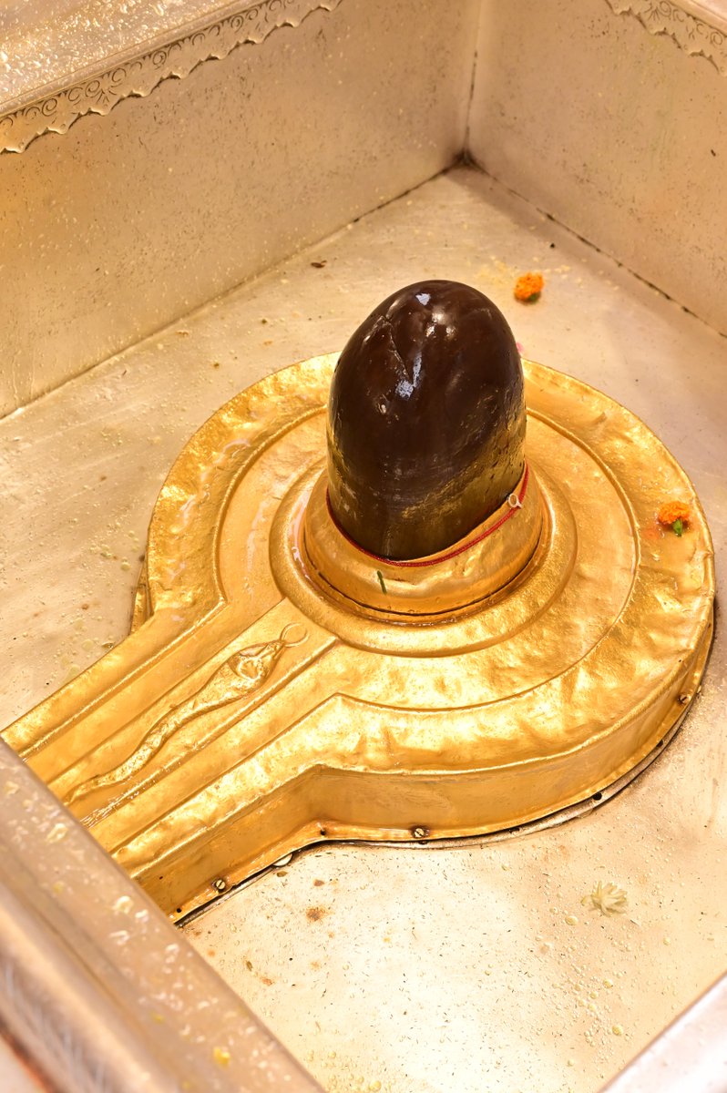 Shri Kashi Vishwanath Temple Trust tweet media