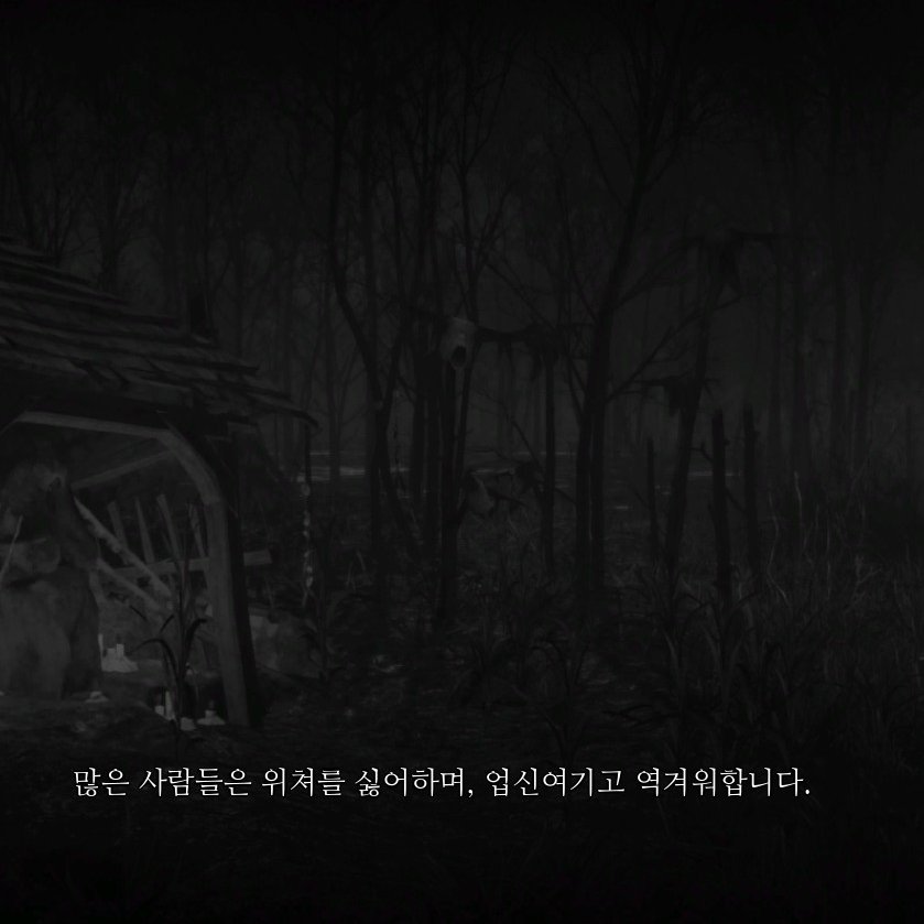 올리브 tweet media
