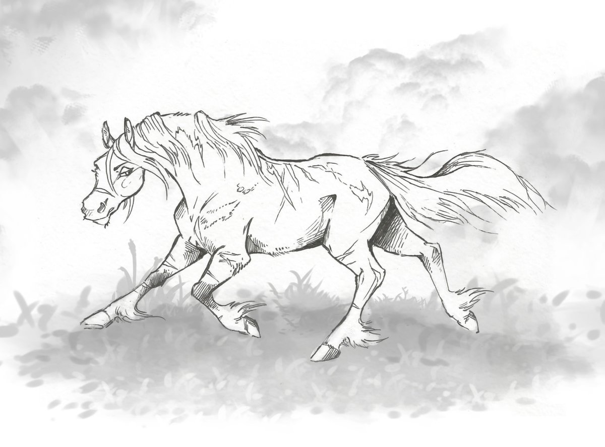 Taski_Guru's tweet photo. Line art of equine ocs characters (closed)
#lineart #horseoc #foal #line_art #horses #horse_art #draft https://t.co/amlhcKemZk