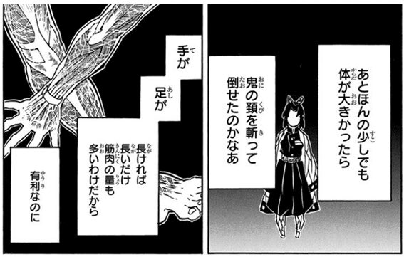 カリコテリウム tweet media