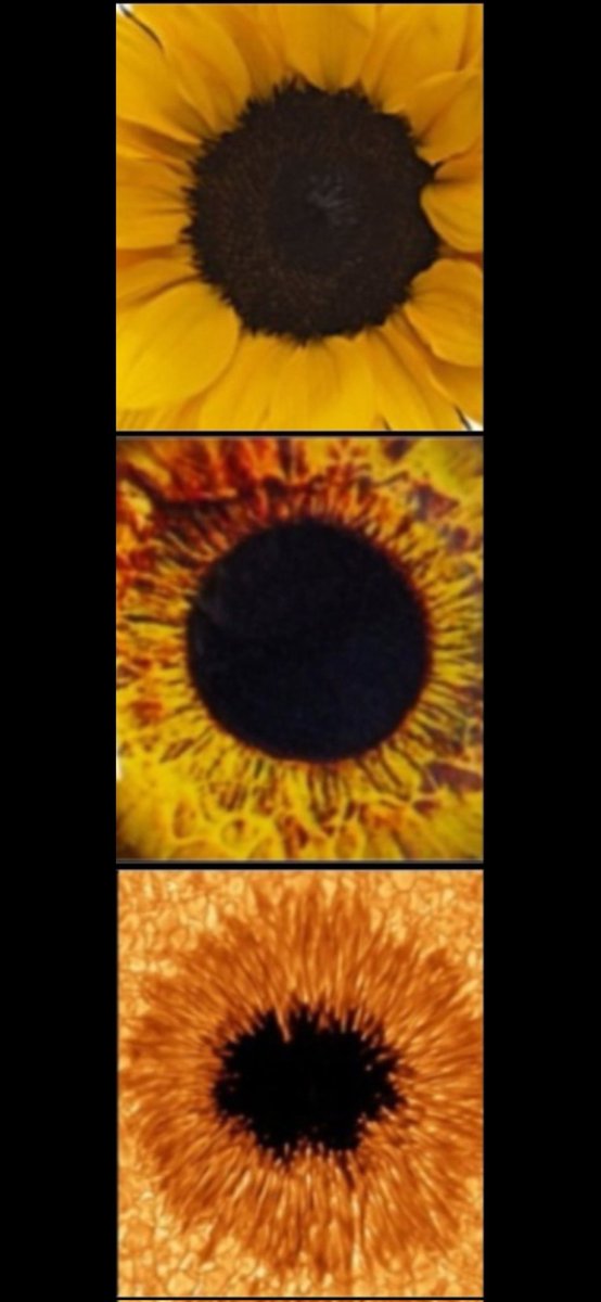 Crystopper's tweet photo. THIS IS 3 SEPERATE PHOTO'S OF 3 SEPERATE ITEMS, THAT ALL HAVE ONE VERY IMPORTANT THING IN COMMON. LET ME KNOW WHICH ONE OF THESE ITEM'S IN THE PHOTO, ARE FROM WHAT ENTITY. HAVE A BLESSED DAY AND EVENING AS WELL 🙏🙏🏻🙏🏼🙏🏽🙏🏾🙏🏿🙏🏾🙏🏽🙏🏼🙏🏻🙏🙏🏻🙏🏼🙏🏽🙏🏾🙏🏿🙏🏾🙏🏽🙏🏼🙏🏻🙏🙏🏻🙏🏼🙏🏽🙏🏾🙏🏿🙏🏾🙏🏽🙏🏼🙏🏻🙏🙏🏻🙏🏼🙏🏽 https://t.co/JEcTkOf01G