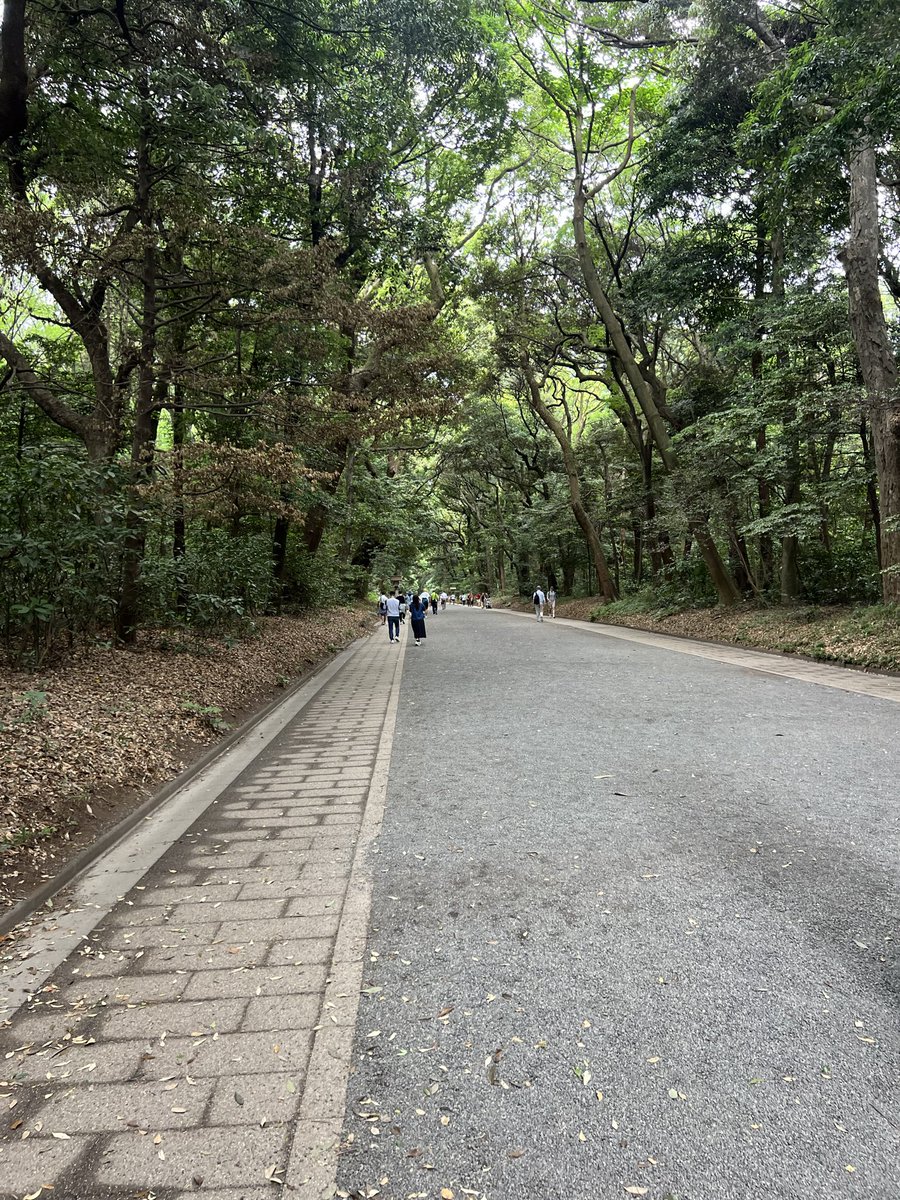 AlrawashdehZahi's tweet photo. Japan 🇯🇵❤️ https://t.co/W1mbvIYKRB