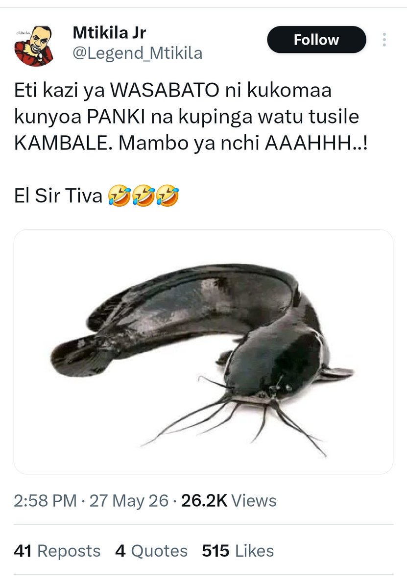 mTusi original 👦 tweet media