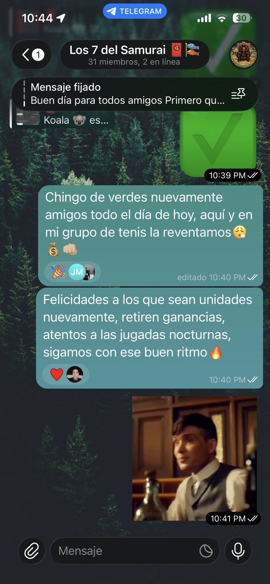 Los 7 del Samurai 🎏 tweet media