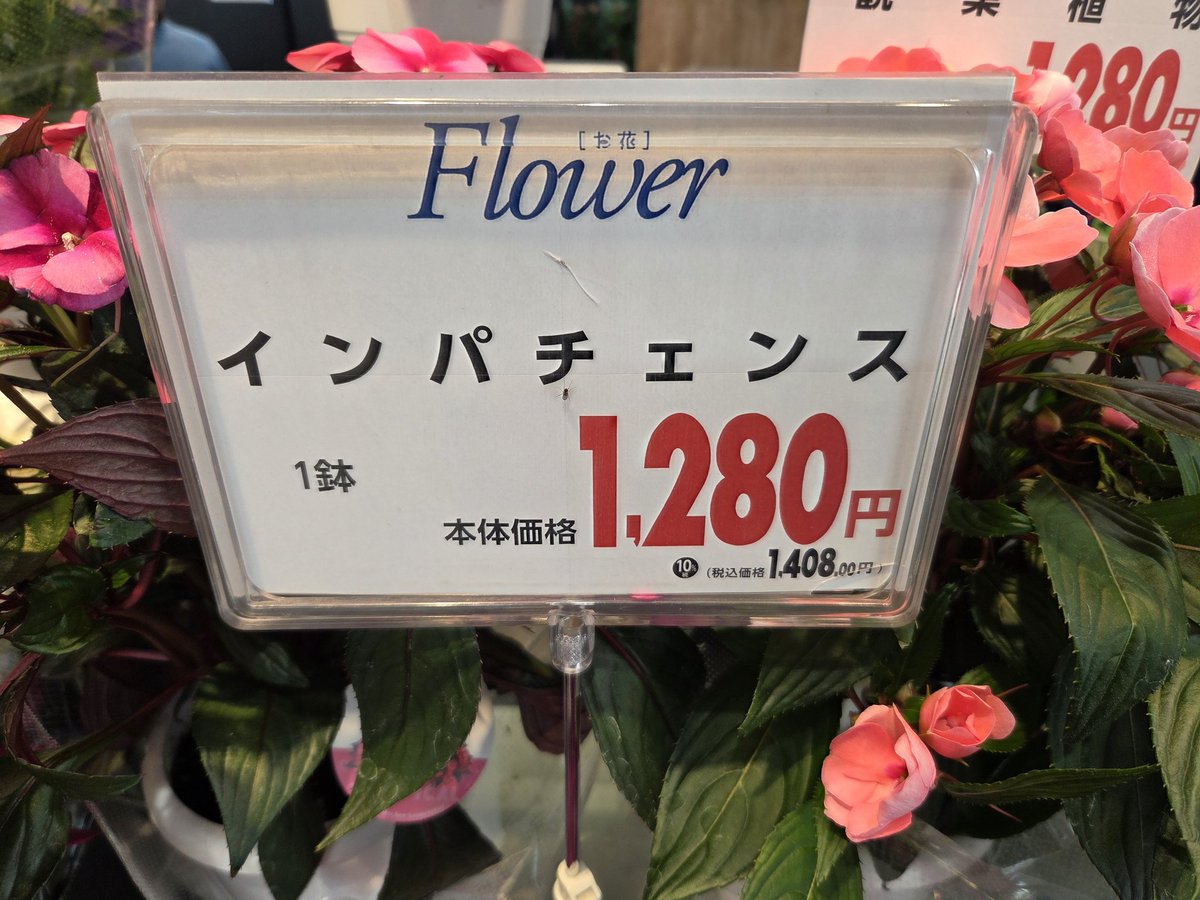 たままま tweet media