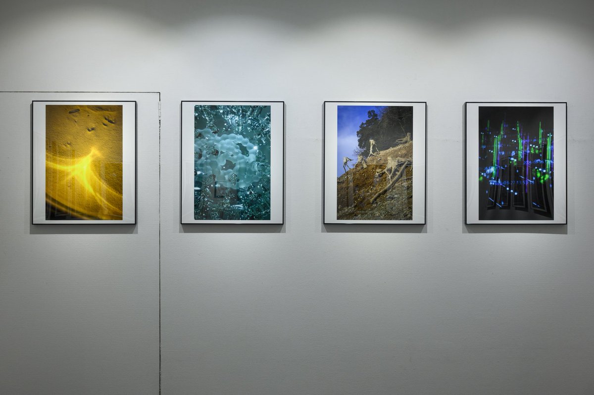 浜田泰介［5/19-31 写真展『polkadot』］ tweet media