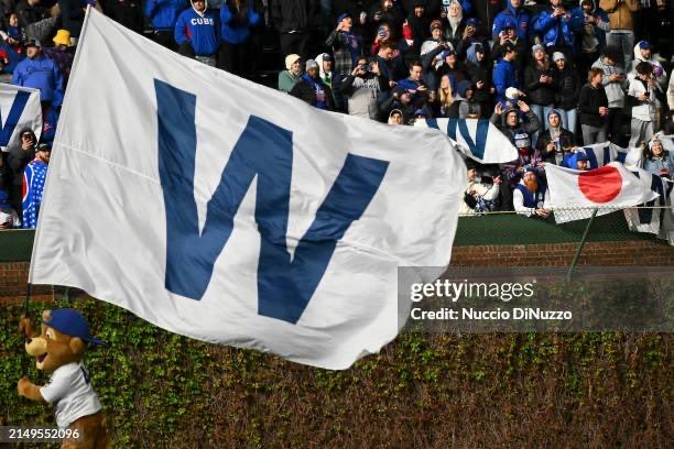 Da_Cubbies's tweet photo. @obvious_shirts #TeamRedBill https://t.co/n3rv9ZtalH