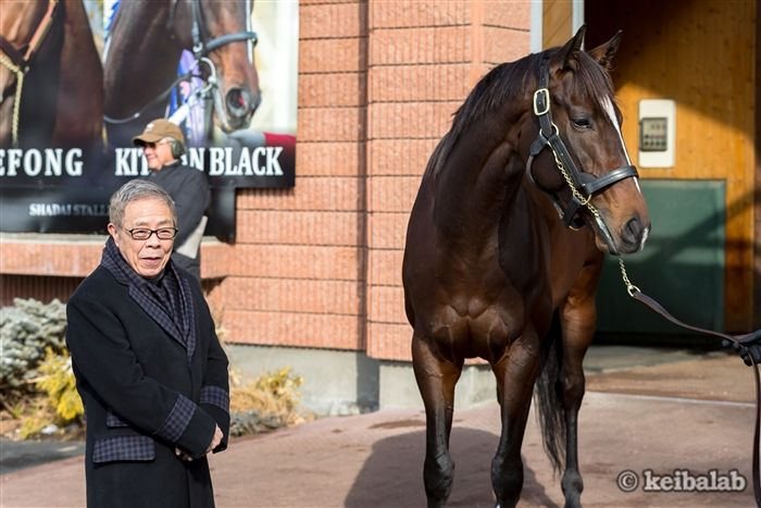 まつりは少数精鋭で】 父キタサンブラック×日本ダービー(過去5年) (1.2