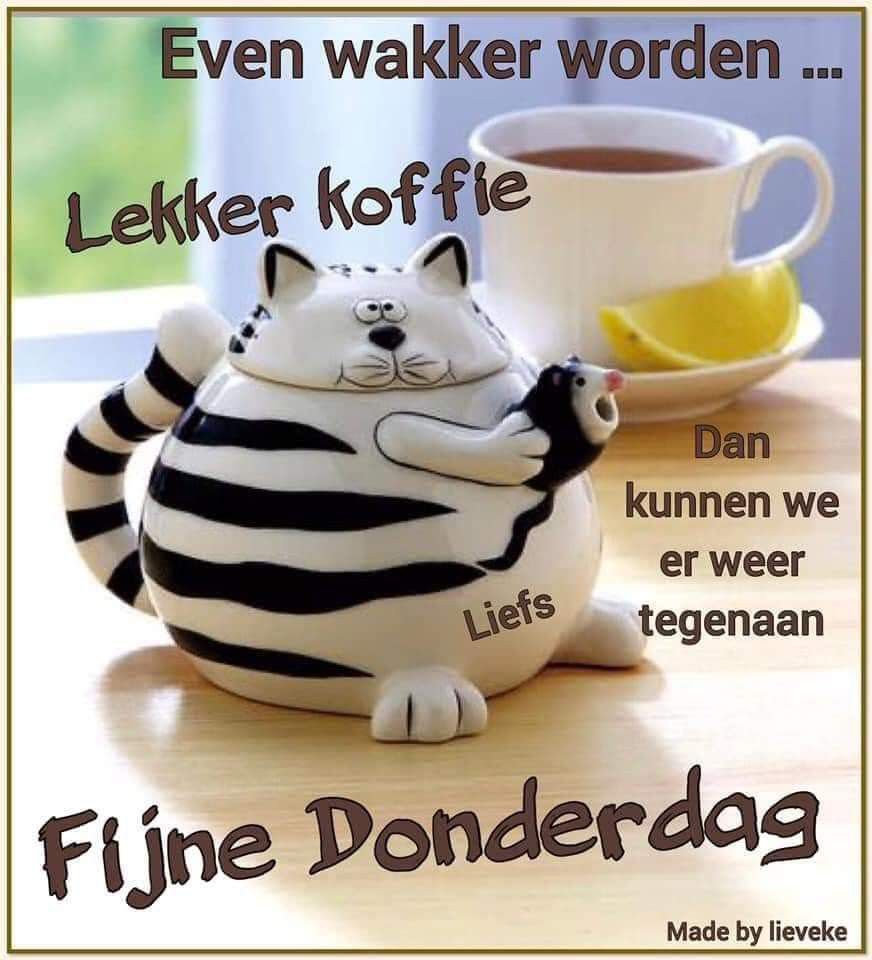 🌞Henk🏖 tweet media