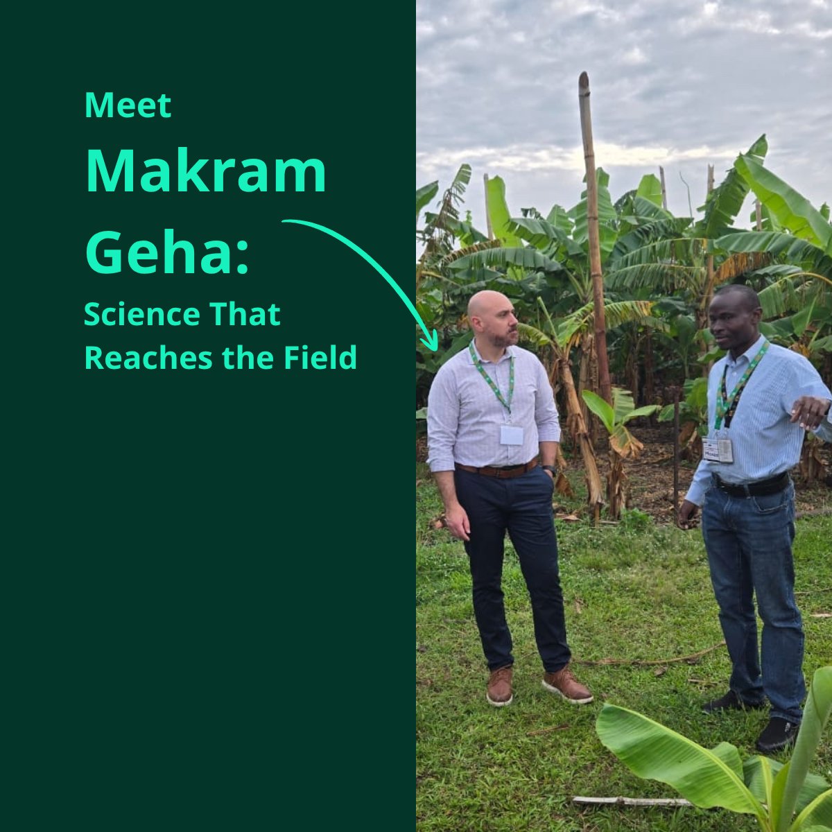 CGIAR tweet media