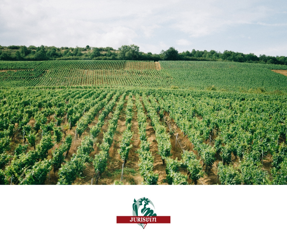 jurisvin's tweet photo. Constructions et plantations sur le sol d’autrui en milieu #rural : Sources de contentieux 💥 
A LIRE :  Bulletin n°8 de l'#IEJ du @notaires_csn 
https://t.co/ew6vug35nW https://t.co/l61bOnFiMD