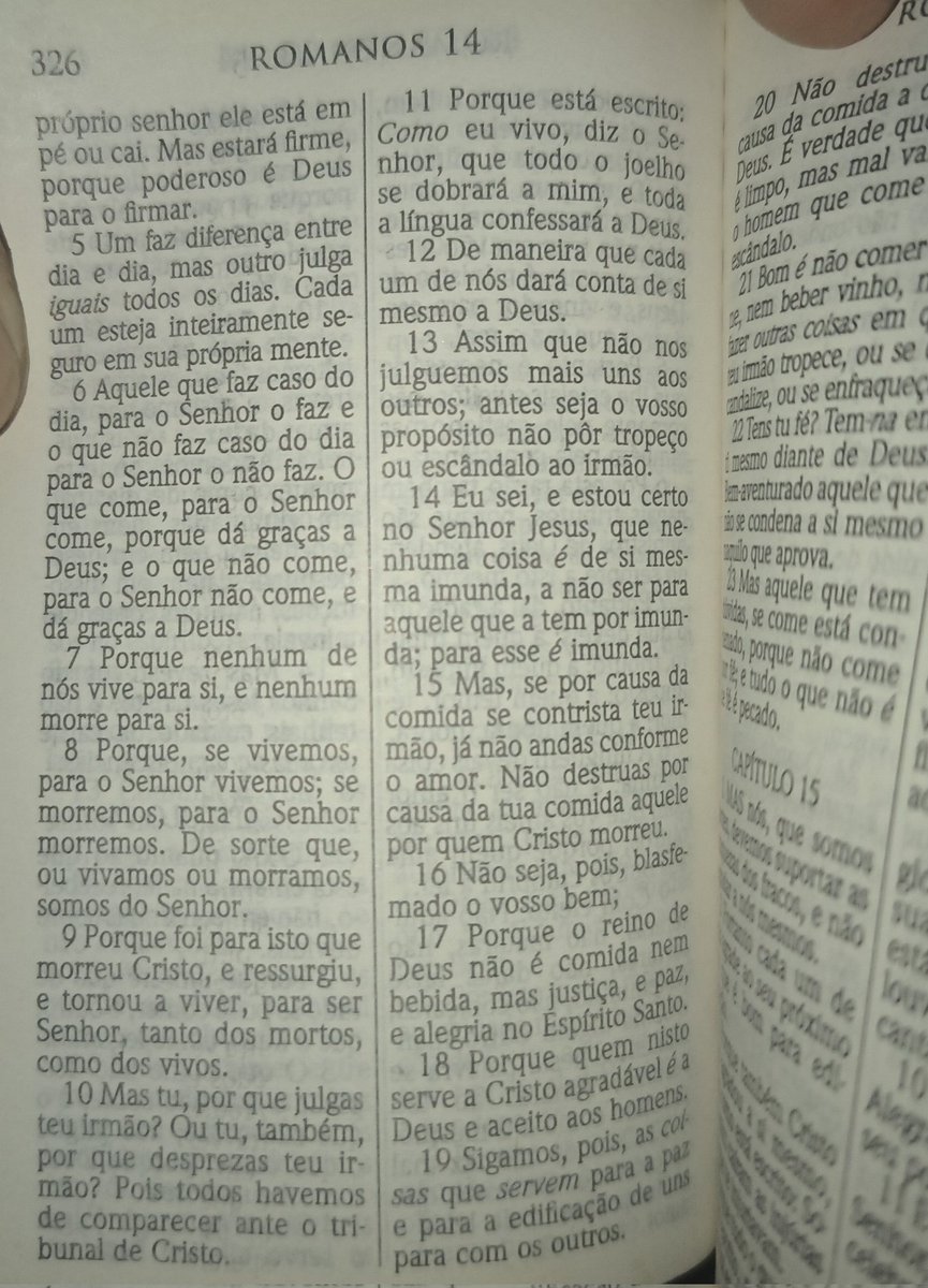 yonvlbs's tweet photo. A continuação, vou dormir boa noite a tds 🙏 https://t.co/05WEk0AQ1v