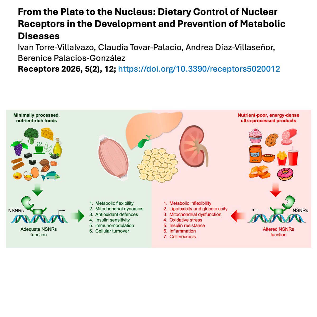 ITorrevich's tweet photo. Los alimentos modulan el metabolismo de cada uno de nuestros órganos al activar receptores nucleares que actúan como sensores de la calidad de los alimentos. Buena comida=buena salud, mala comida..... https://t.co/W8A45kzRg7